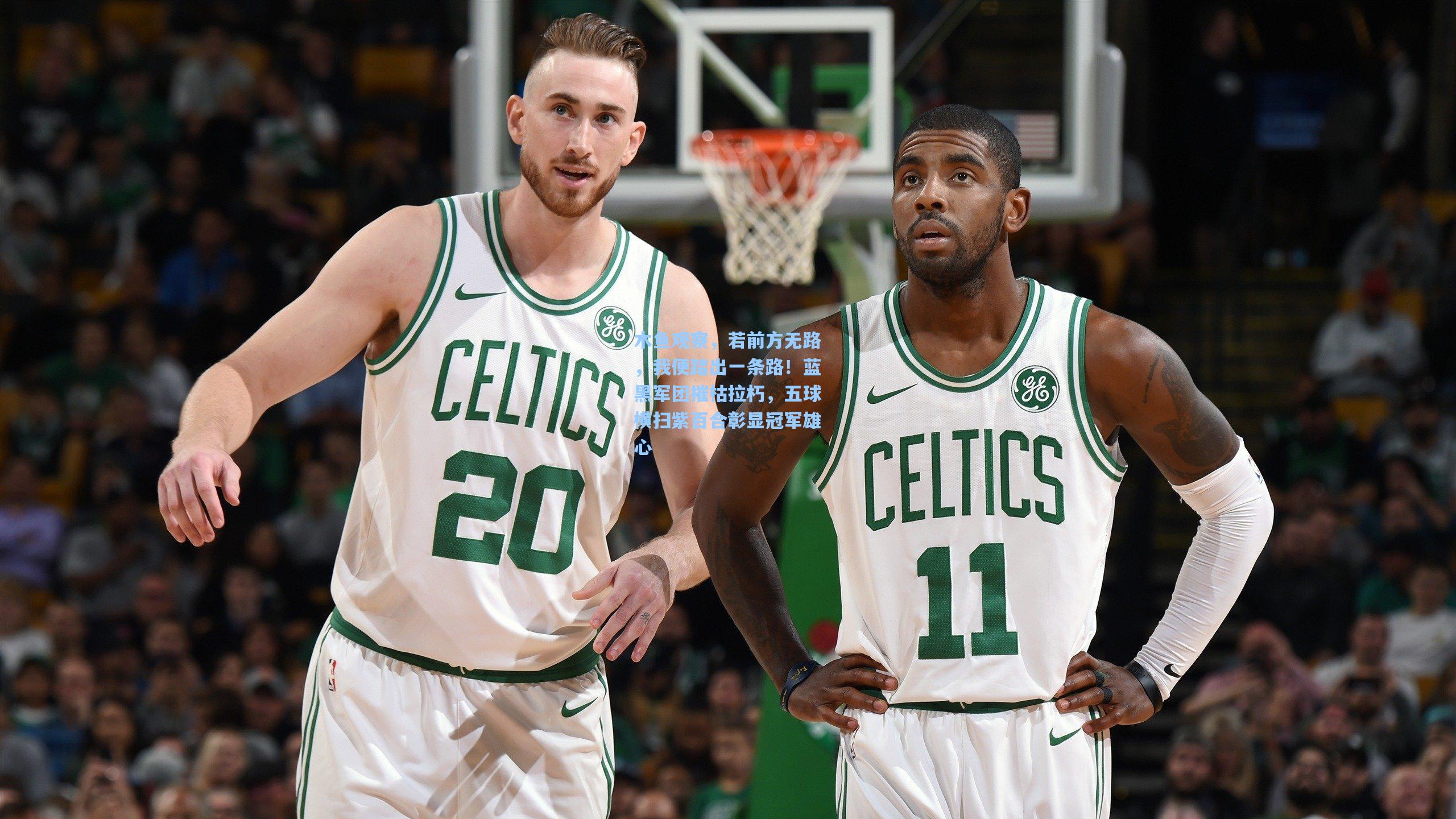 木鱼观察，若前方无路，我便踏出一条路！蓝黑军团摧枯拉朽，五球横扫紫百合彰显冠军雄心