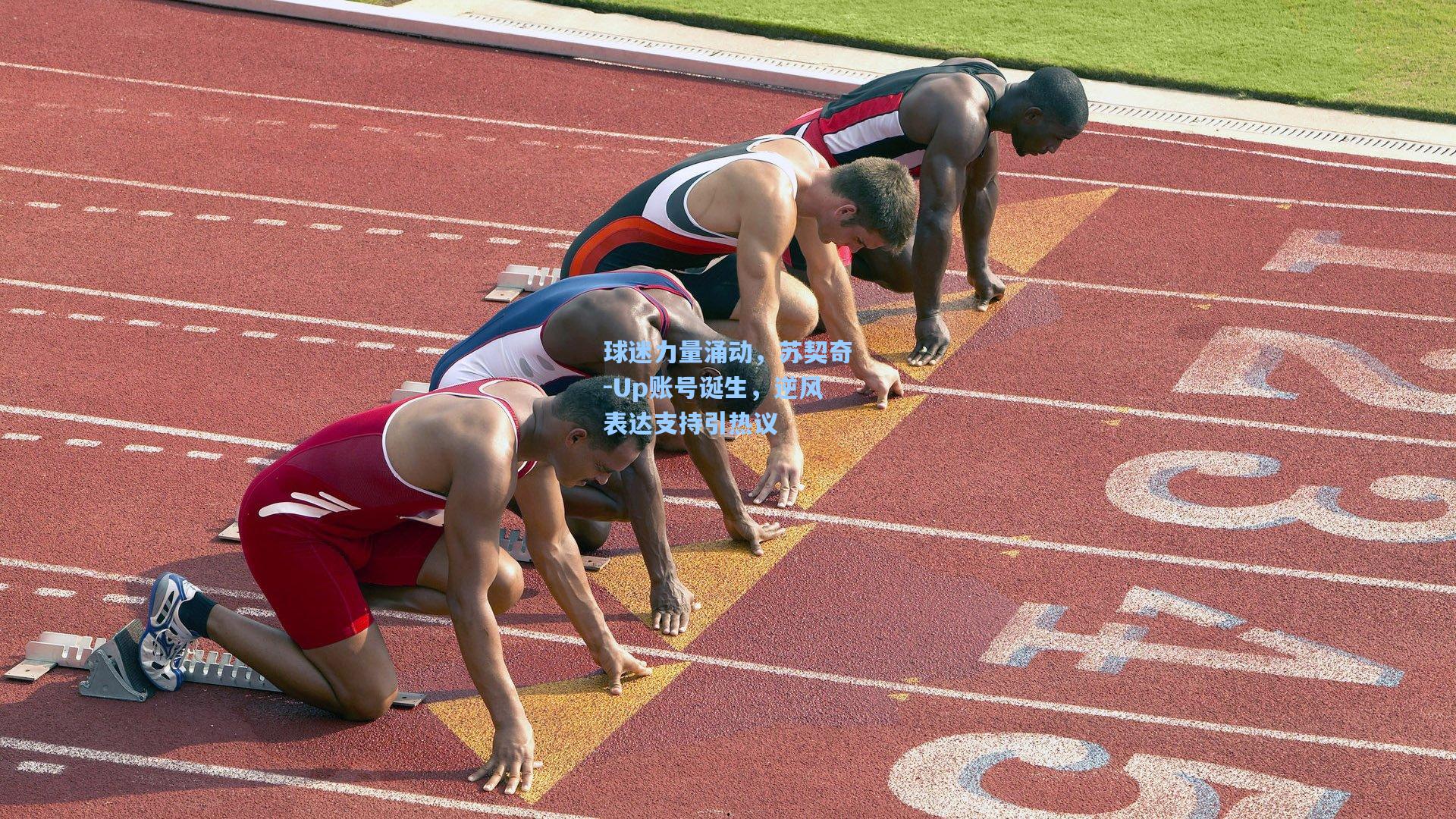 球迷力量涌动，苏契奇-Up账号诞生，逆风表达支持引热议